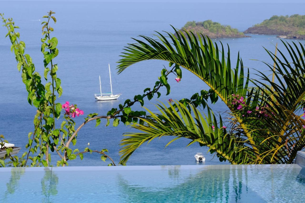 Sunset Palm - Villa Creole Avec Piscine Face Au Coucher De Soleil Et A La Reserve Cousteau 波尔兰特 外观 照片