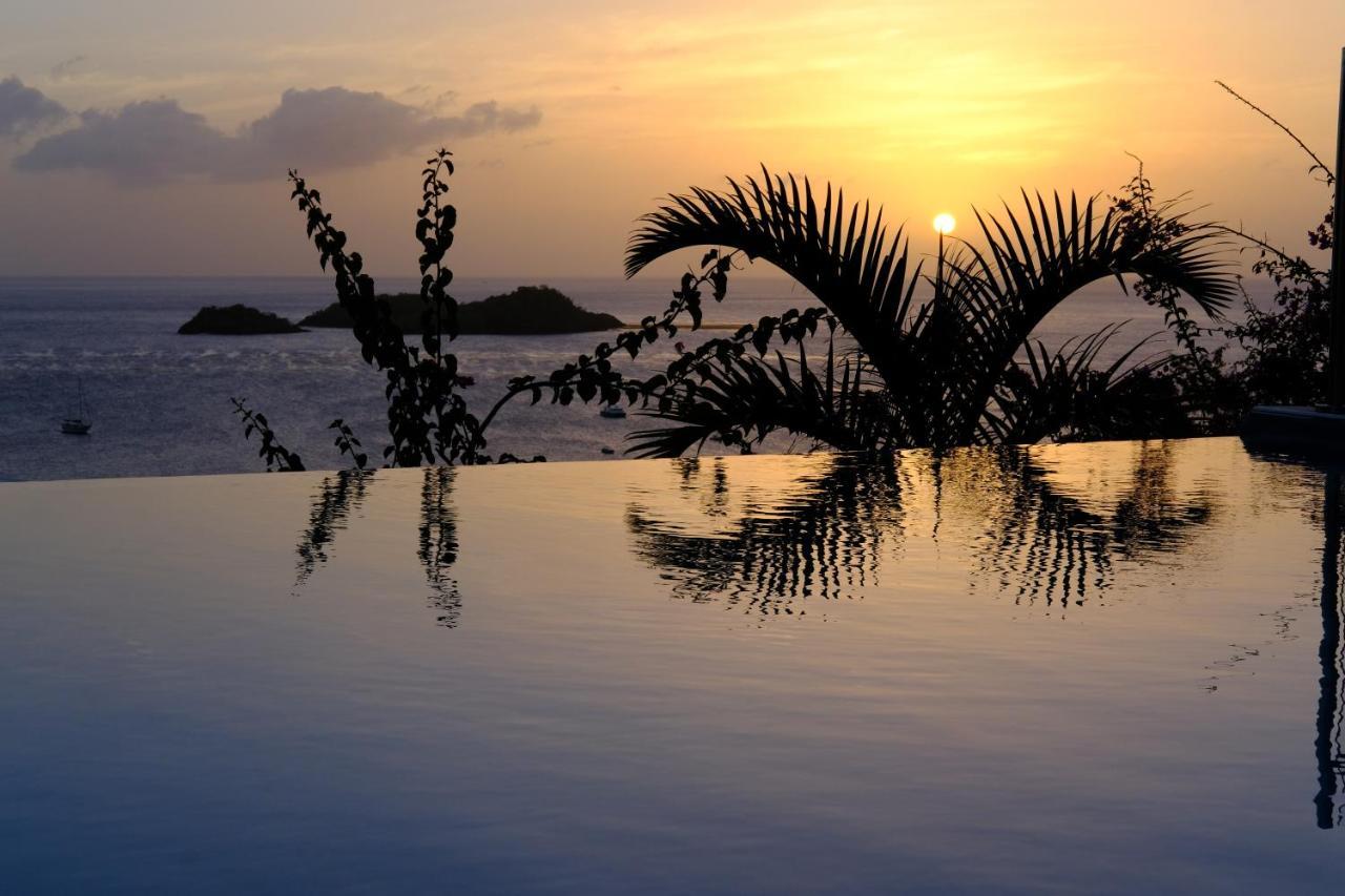 Sunset Palm - Villa Creole Avec Piscine Face Au Coucher De Soleil Et A La Reserve Cousteau 波尔兰特 外观 照片