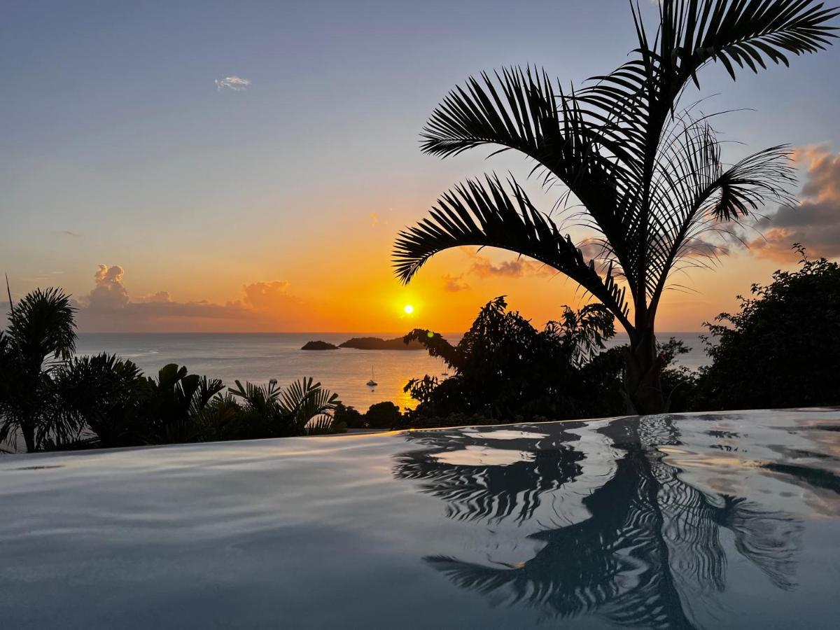Sunset Palm - Villa Creole Avec Piscine Face Au Coucher De Soleil Et A La Reserve Cousteau 波尔兰特 外观 照片